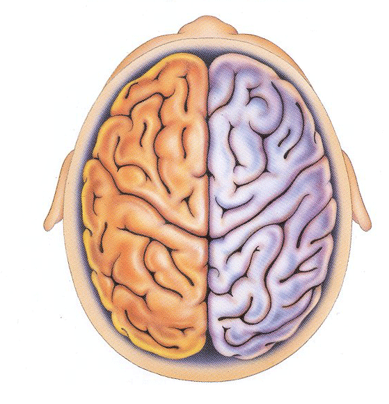 Neurogene stoornissen - Logopedie